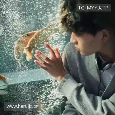 毕晋昱